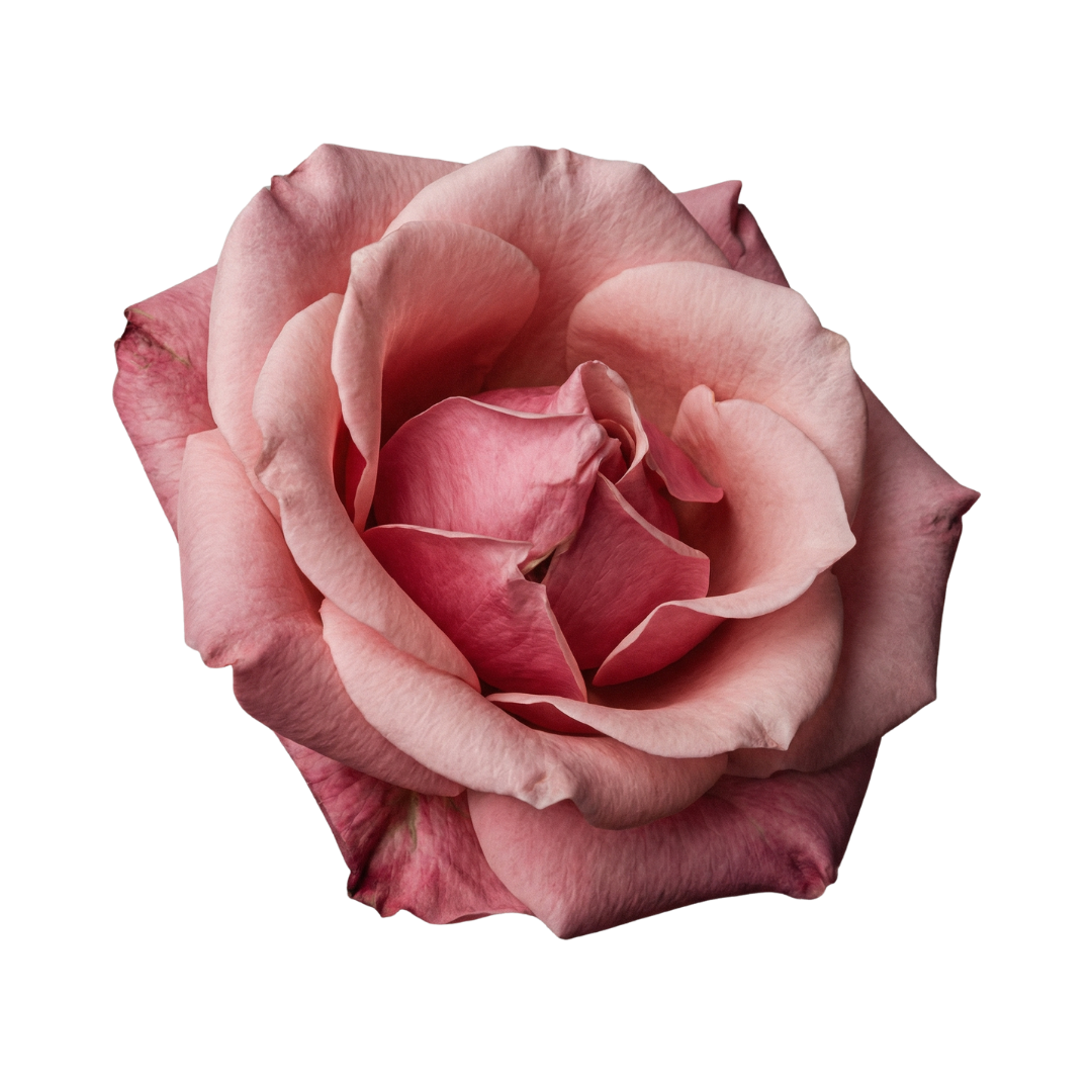 Rose PDRN