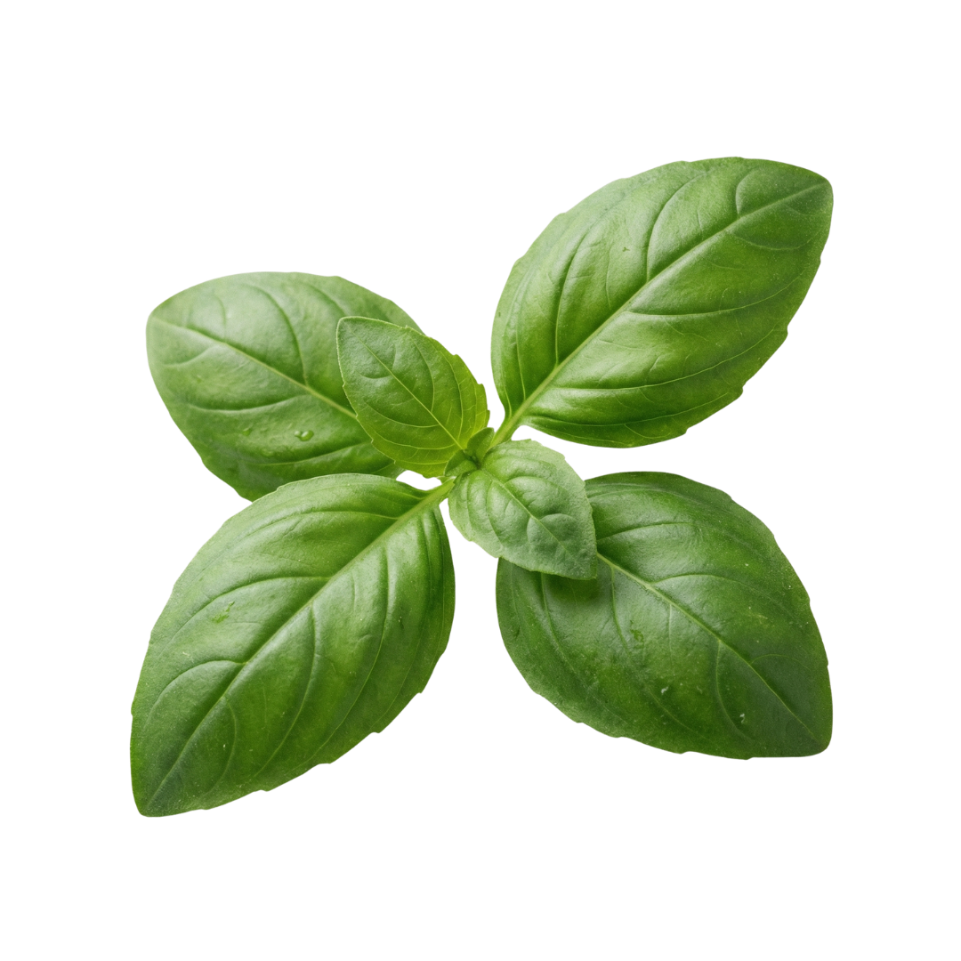 Neem