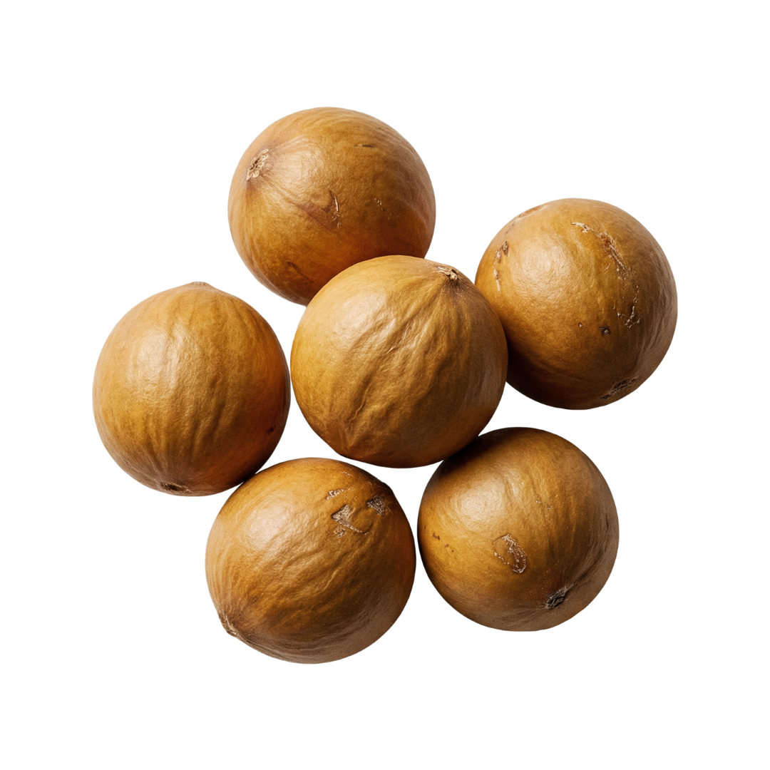 Jojoba